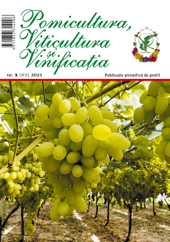 Revista PVV nr.1 2021