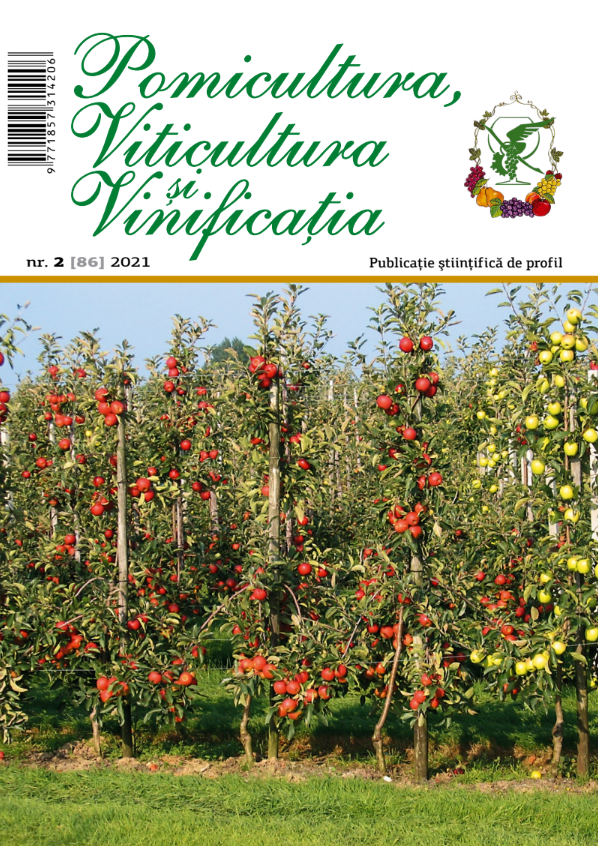 Revista PVV nr.2 2021
