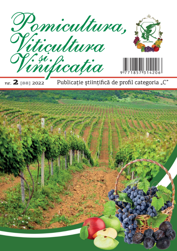 Revista PVV nr.2 2022