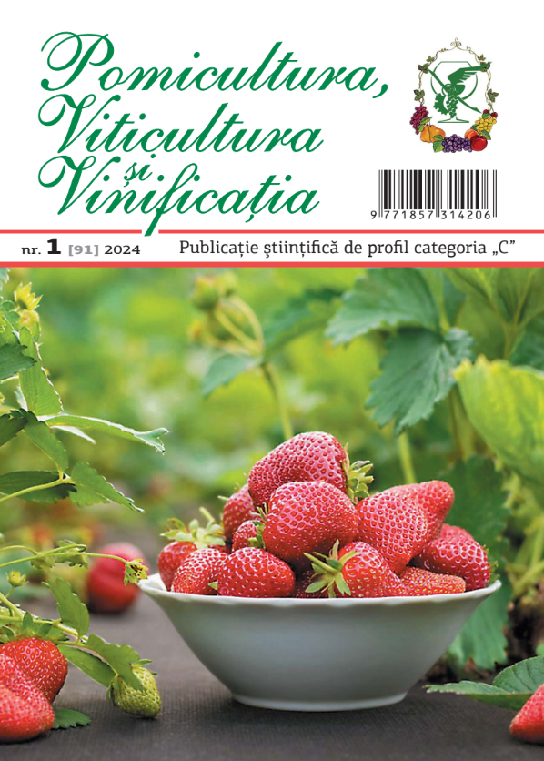 Revista PVV nr.1 2024