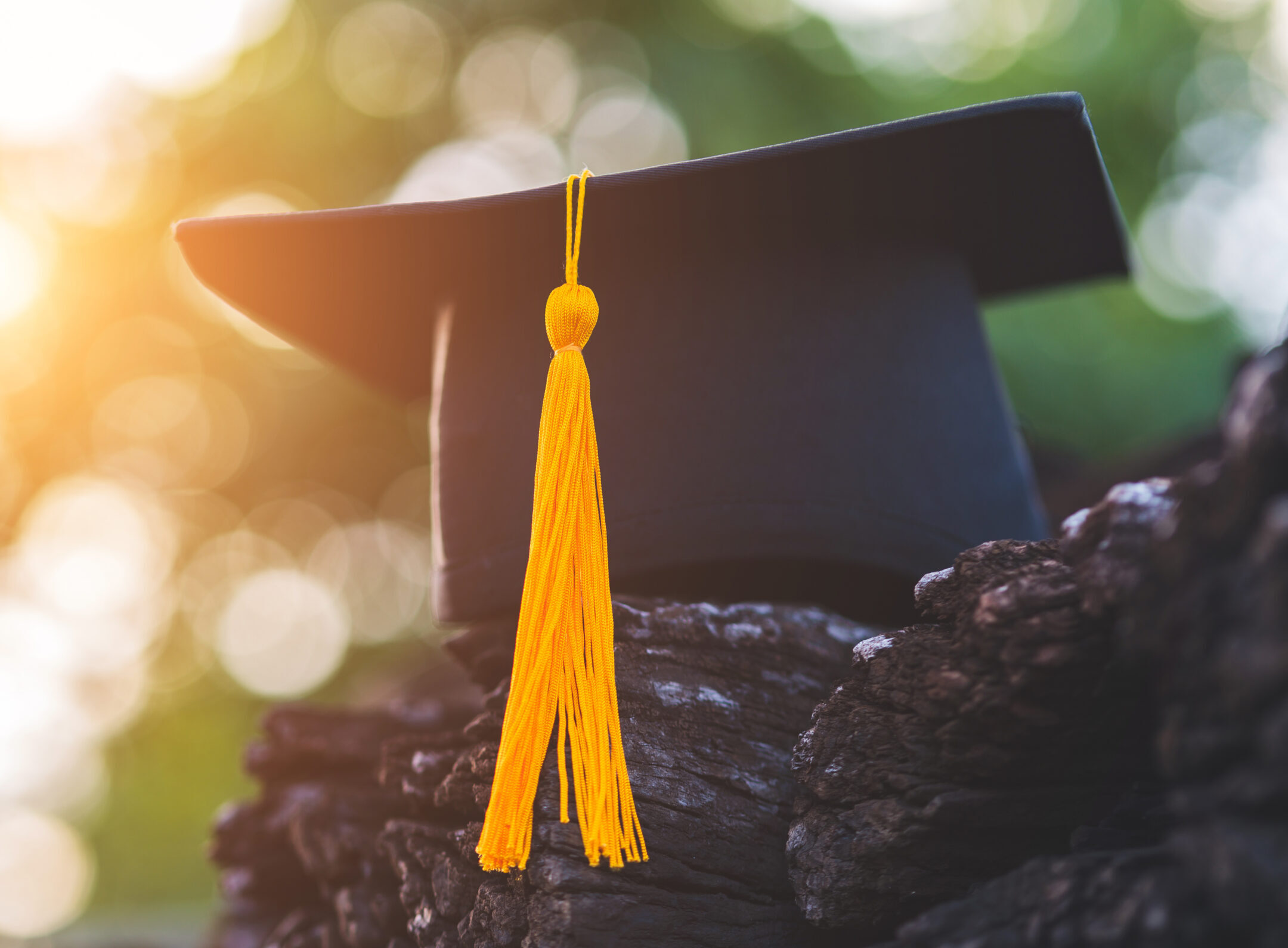 EXAMINAREA TEZEI DE DOCTOR HABILITAT ÎN ȘEDINȚA SEMINARULUI ȘTIINȚIFIC de Profil ad-hoc, INCAAMV