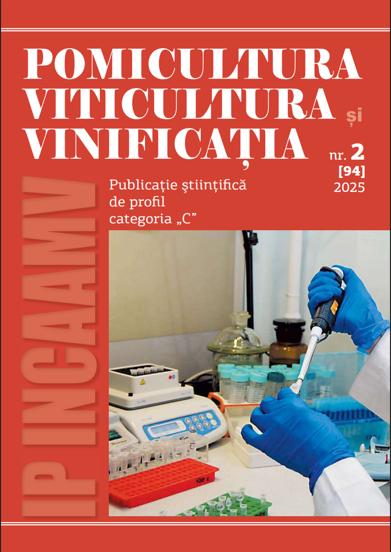 Revista PVV nr.2 2025