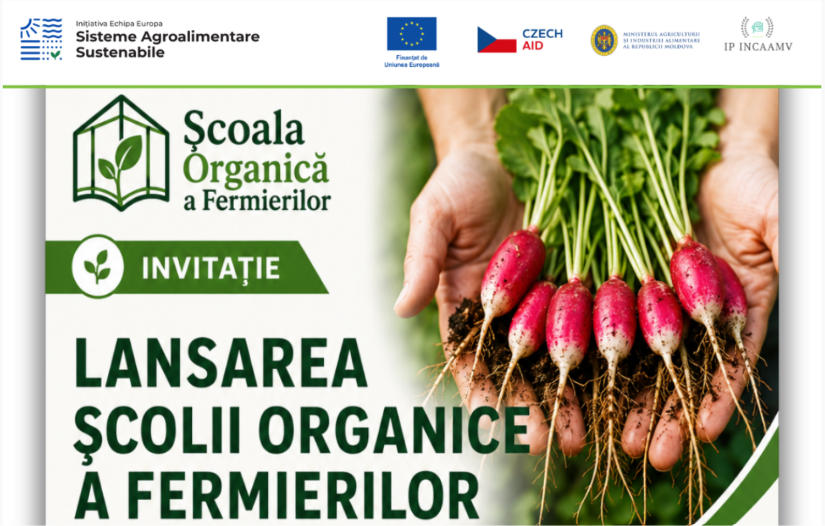 INVITAȚIE