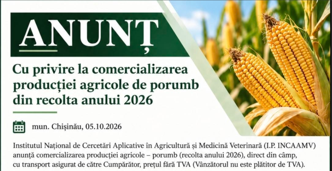 Anunț – cu privire la comercializarea producției agricole de porumb din recolta anului 2026